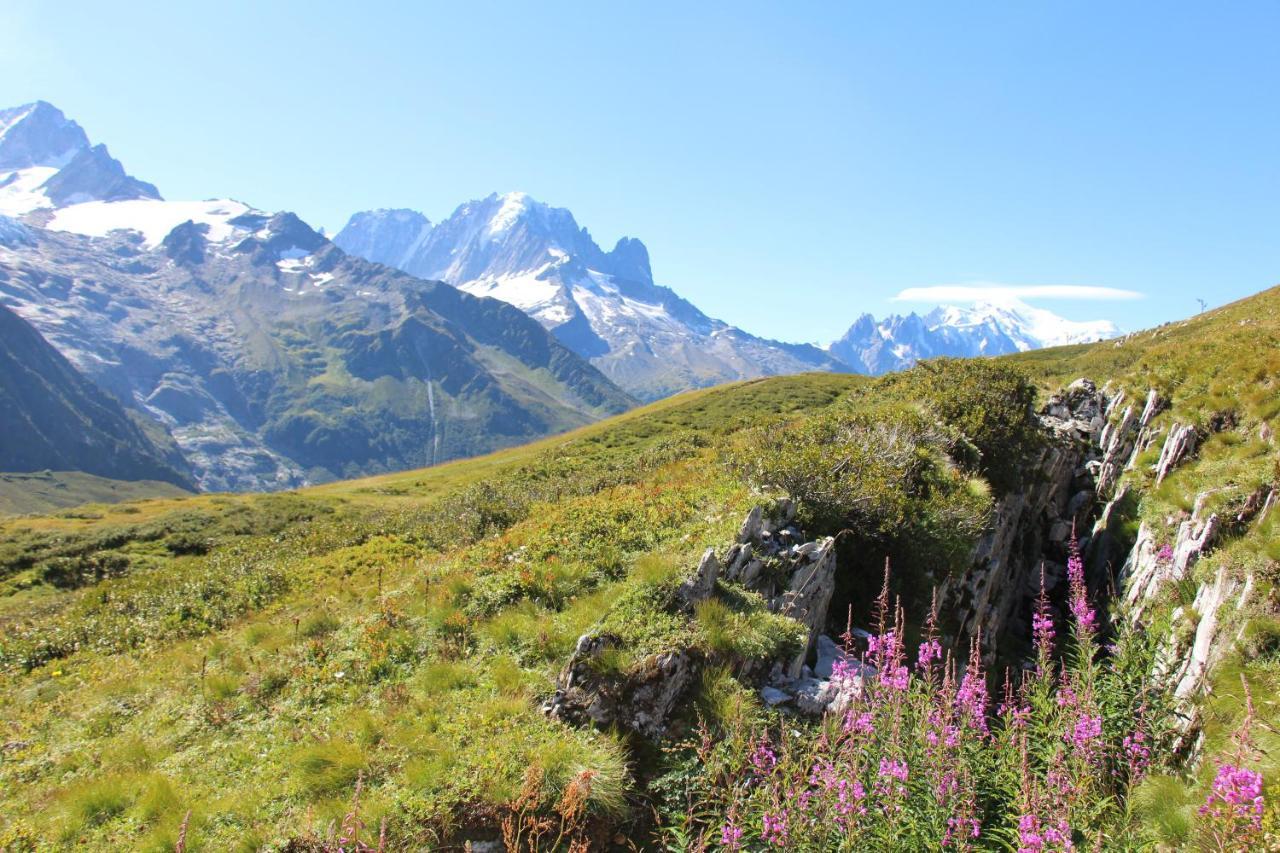Viachamonix I Confort & Nature, Skis Aux Pieds