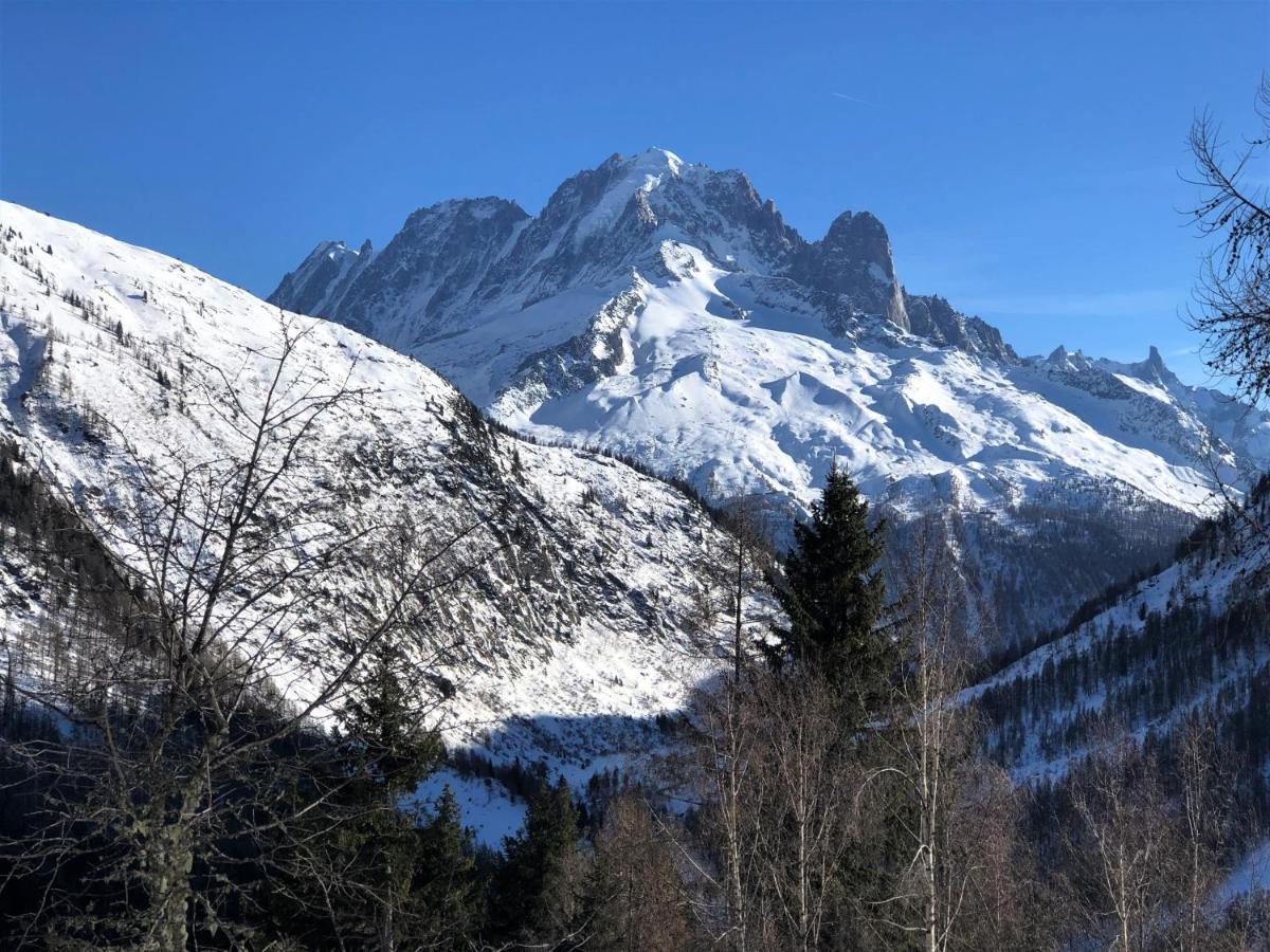Apartamento Viachamonix I Confort & Nature, Skis Aux Pieds Vallorcine