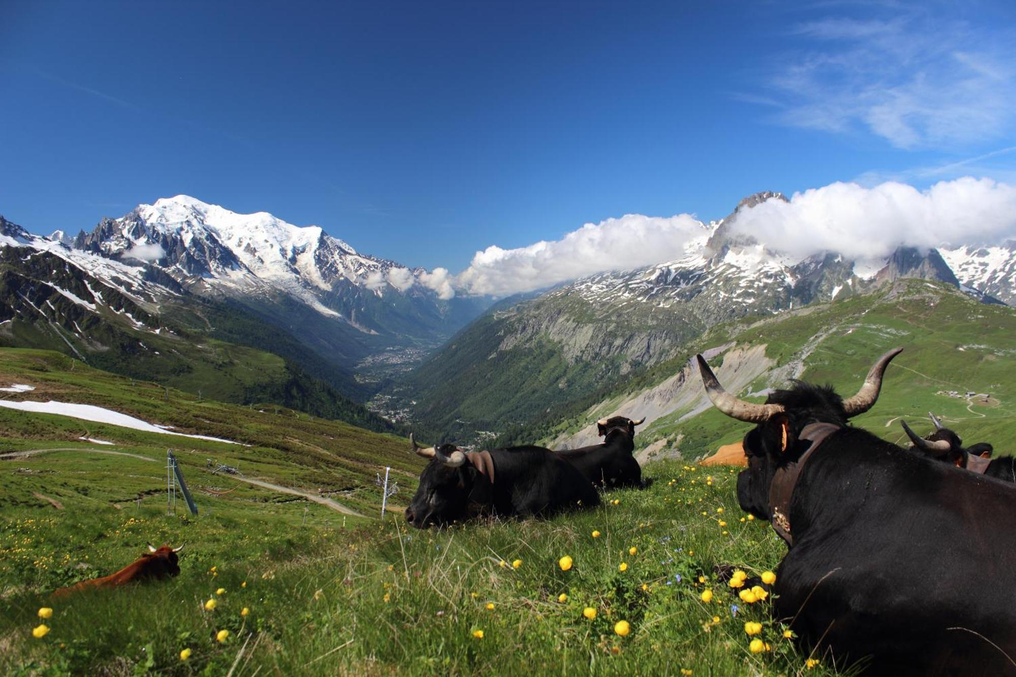 Viachamonix I Confort & Nature, Skis Aux Pieds Apartamento Vallorcine