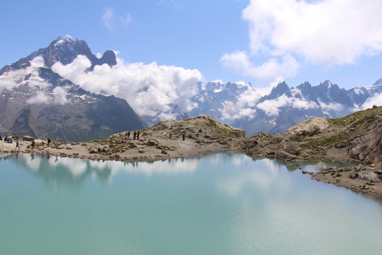 Viachamonix I Confort & Nature, Skis Aux Pieds Appartement