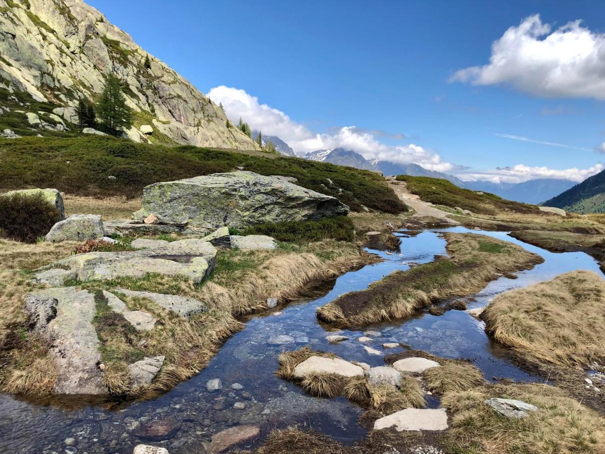 Appartement Viachamonix I Confort & Nature, Skis Aux Pieds Vallorcine